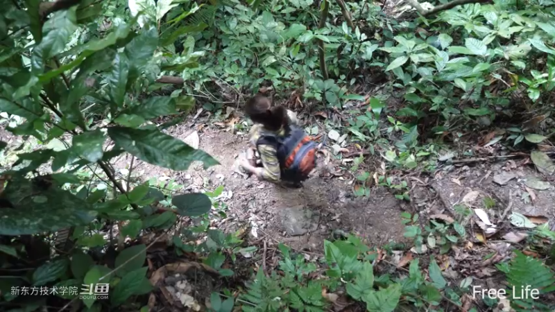 P33传统厨房灶台18妹子独自深入荒野隐居修仙,建设世外桃源投个币吧