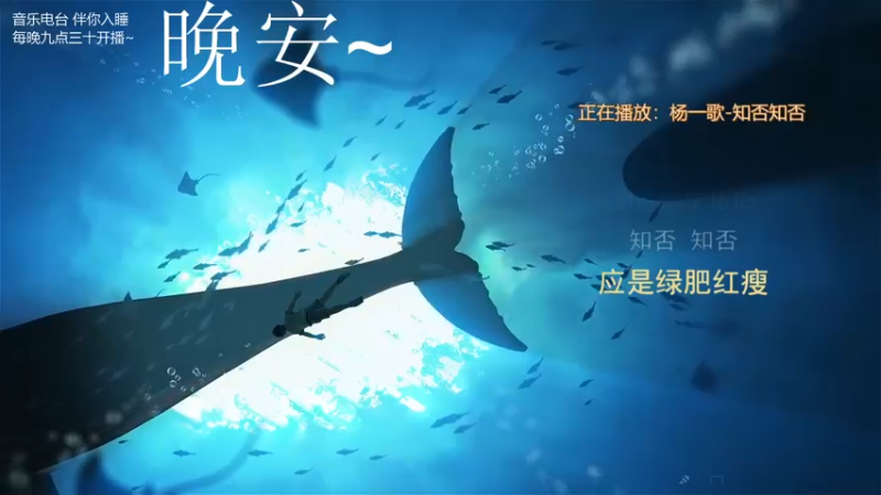 【2021-08-21 03点场】杨一歌：杨一歌：带你去炸鱼11258