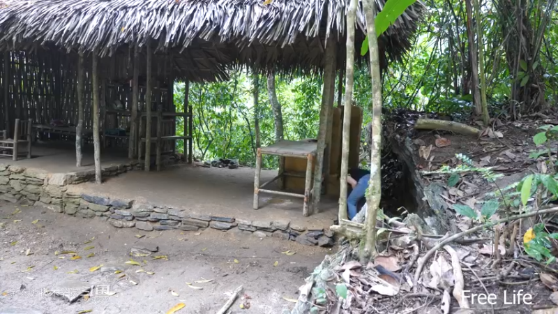 P41家具&民间菜肴5妹子独自深入荒野隐居修仙,建设世外桃源投个币吧