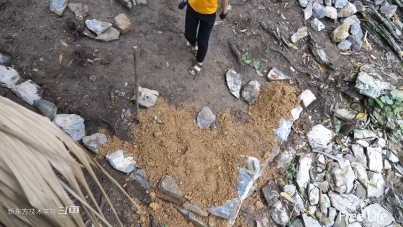 P42庭院升级11妹子独自深入荒野隐居修仙,建设世外桃源投个币吧