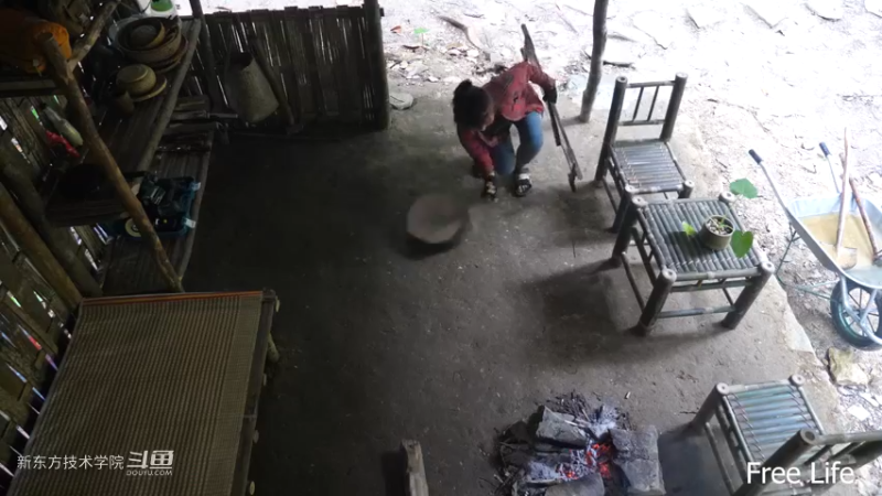 P28切菜板和酸菜18妹子独自深入荒野隐居修仙,建设世外桃源投个币吧