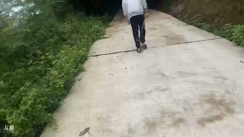 【2021-08-21 11点场】魅力生活i：上山寻找山货