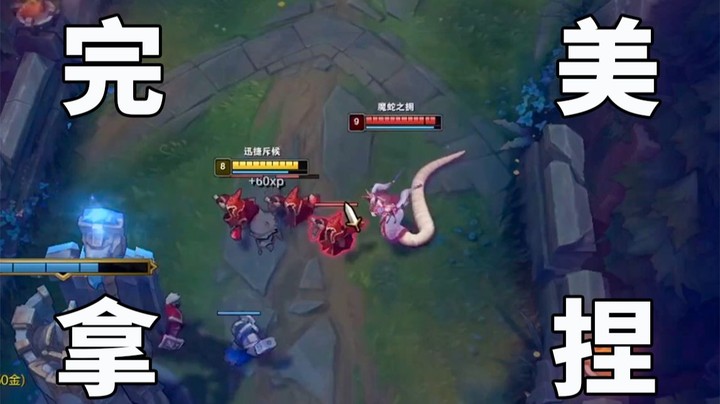 【恶霸提莫】提莫经典纳什之牙 制造者玩法，单人完美拿捏对面五人，观众直呼有手就行