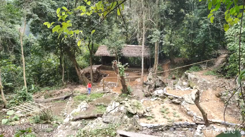 P42庭院升级16妹子独自深入荒野隐居修仙,建设世外桃源投个币吧