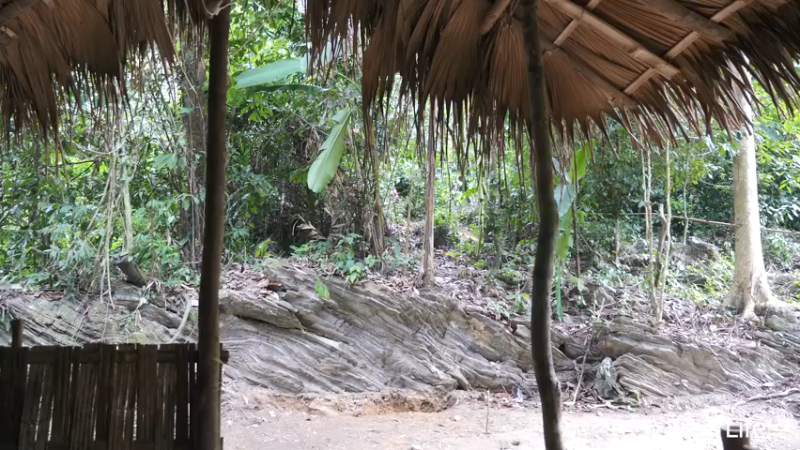 P32新建荒野厨房5妹子独自深入荒野隐居修仙,建设世外桃源投个币吧