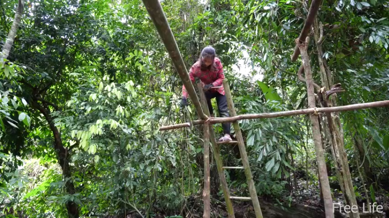 P14小姐姐世外桃源宅基地15妹子独自深入荒野隐居修仙,建设世外桃源投个币吧