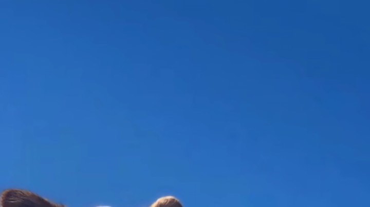 emmmmm
