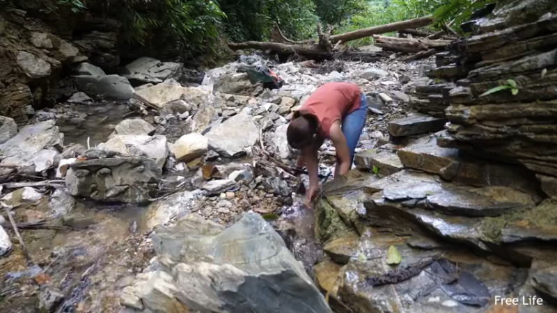 P26丛林捕鱼&烹饪7妹子独自深入荒野隐居修仙,建设世外桃源投个币吧