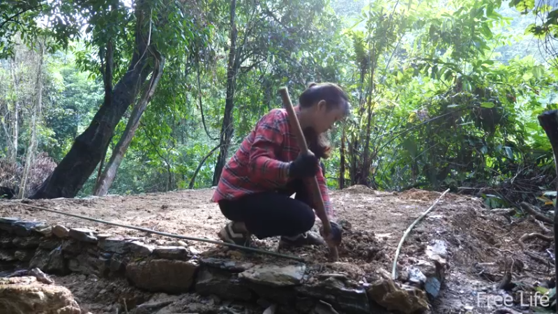 P14小姐姐世外桃源宅基地11妹子独自深入荒野隐居修仙,建设世外桃源投个币吧