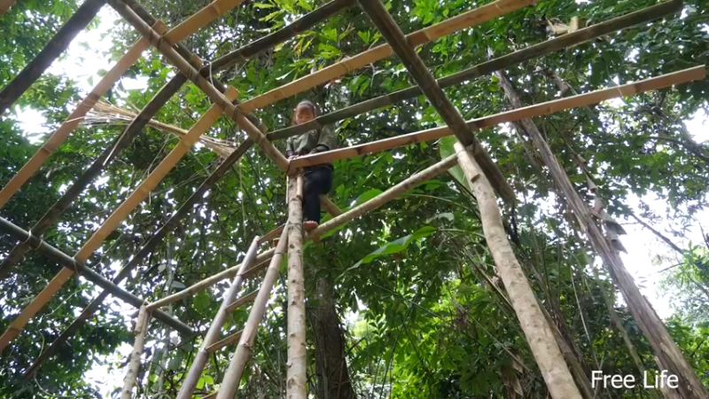 P32新建荒野厨房24妹子独自深入荒野隐居修仙,建设世外桃源投个币吧