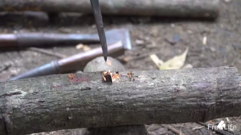 P22货架杂务&沐浴9妹子独自深入荒野隐居修仙,建设世外桃源投个币吧