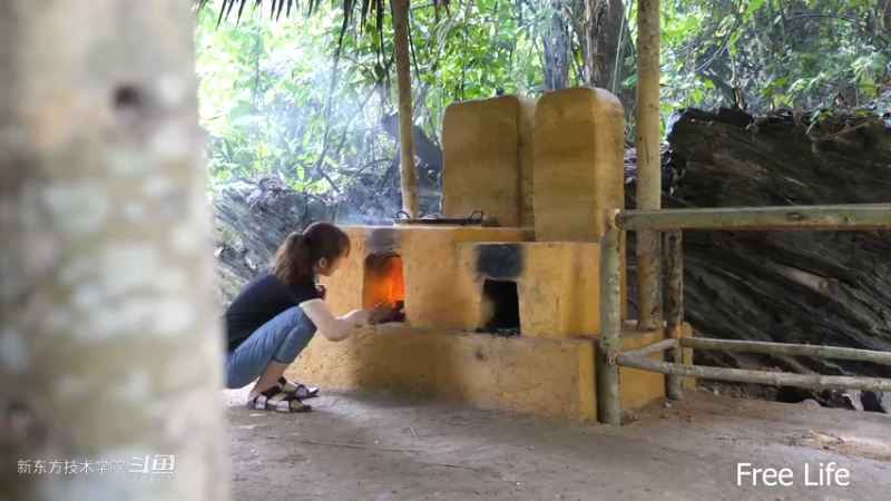 P41家具&民间菜肴8妹子独自深入荒野隐居修仙,建设世外桃源投个币吧