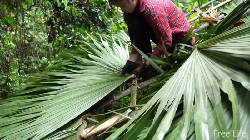 P14小姐姐世外桃源宅基地22妹子独自深入荒野隐居修仙,建设世外桃源投个币吧