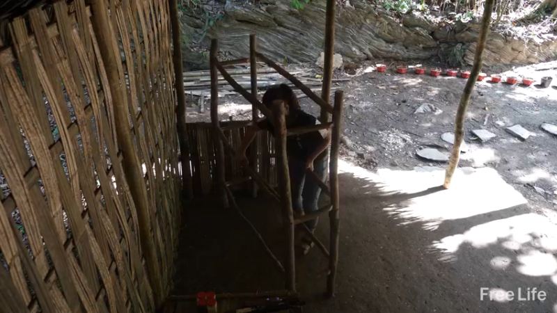 P22货架杂务&沐浴13妹子独自深入荒野隐居修仙,建设世外桃源投个币吧