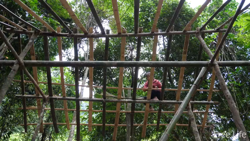 P14小姐姐世外桃源宅基地17妹子独自深入荒野隐居修仙,建设世外桃源投个币吧