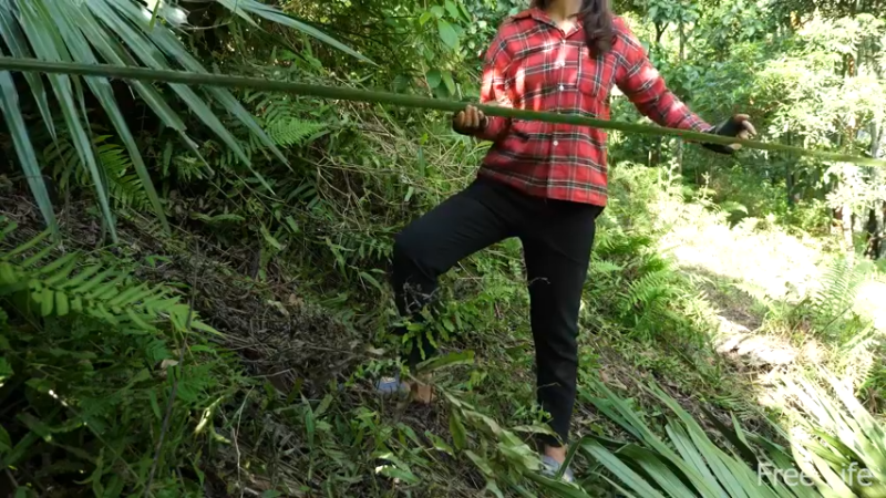 P14小姐姐世外桃源宅基地19妹子独自深入荒野隐居修仙,建设世外桃源投个币吧