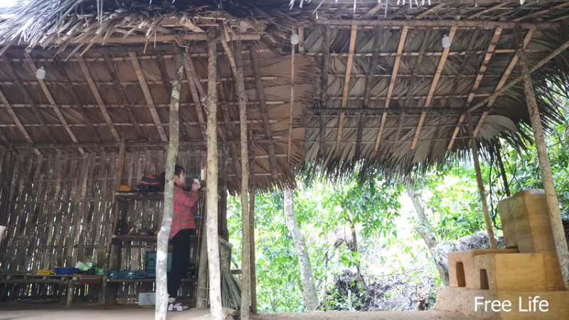 P34用新厨房做顿好吃的15妹子独自深入荒野隐居修仙,建设世外桃源投个币吧