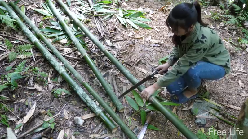 P15花园石板和墙壁7妹子独自深入荒野隐居修仙,建设世外桃源投个币吧