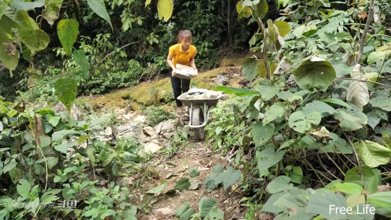 P42庭院升级8妹子独自深入荒野隐居修仙,建设世外桃源投个币吧