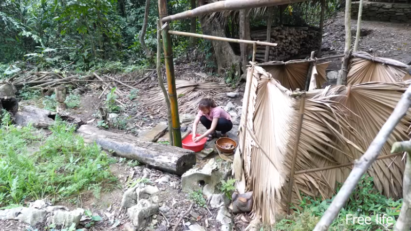 P40制作餐桌生活需要仪式感16妹子独自深入荒野隐居修仙,建设世外桃源投个币吧