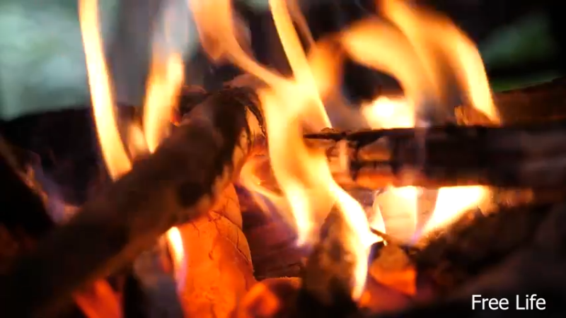 P34用新厨房做顿好吃的12妹子独自深入荒野隐居修仙,建设世外桃源投个币吧