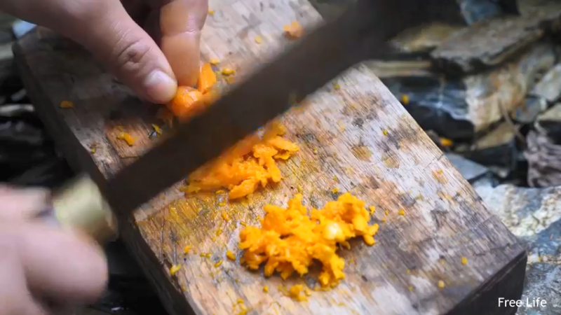 P26丛林捕鱼&烹饪13妹子独自深入荒野隐居修仙,建设世外桃源投个币吧