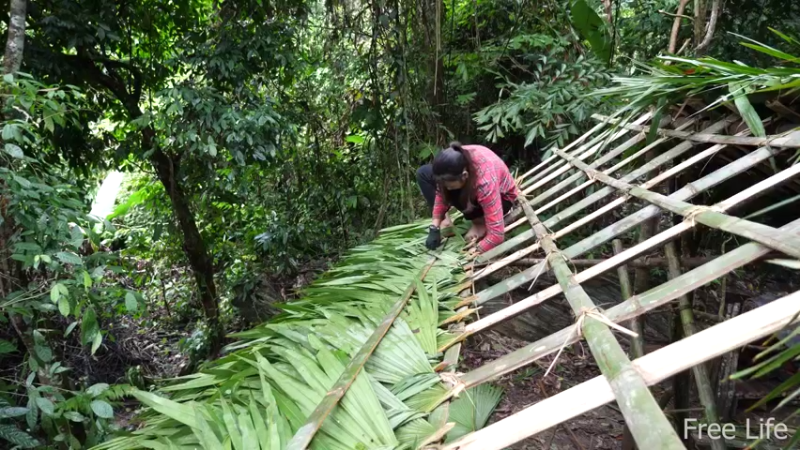 P14小姐姐世外桃源宅基地23妹子独自深入荒野隐居修仙,建设世外桃源投个币吧
