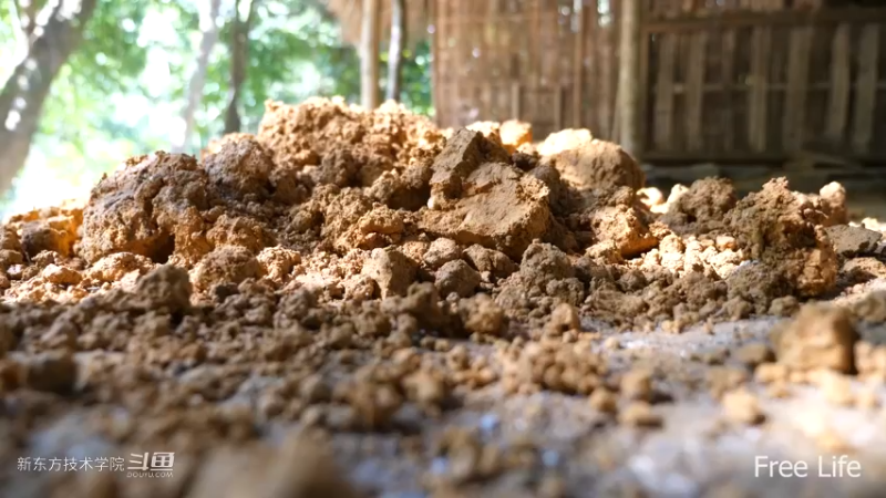 P33传统厨房灶台7妹子独自深入荒野隐居修仙,建设世外桃源投个币吧