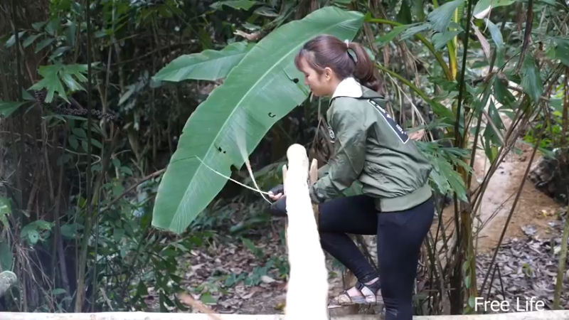 P32新建荒野厨房23妹子独自深入荒野隐居修仙,建设世外桃源投个币吧