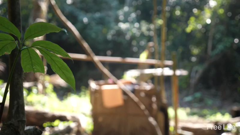 P22货架杂务&沐浴17妹子独自深入荒野隐居修仙,建设世外桃源投个币吧