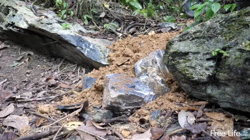 P42庭院升级6妹子独自深入荒野隐居修仙,建设世外桃源投个币吧