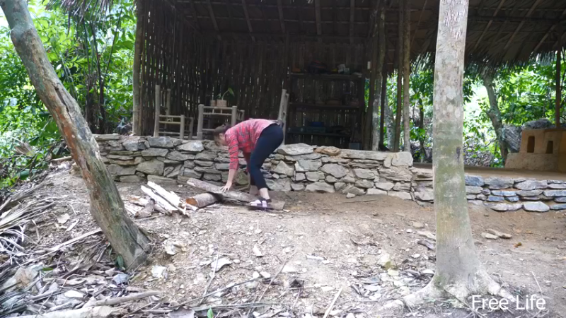 P34用新厨房做顿好吃的16妹子独自深入荒野隐居修仙,建设世外桃源投个币吧