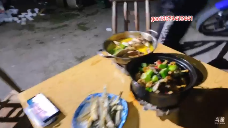 【2021-08-21 21点场】魅力生活i：晚上寻找大牛蛙