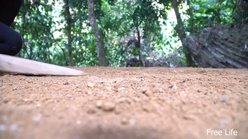 P32新建荒野厨房13妹子独自深入荒野隐居修仙,建设世外桃源投个币吧