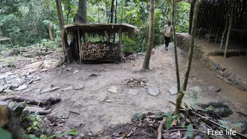 P40制作餐桌生活需要仪式感4妹子独自深入荒野隐居修仙,建设世外桃源投个币吧