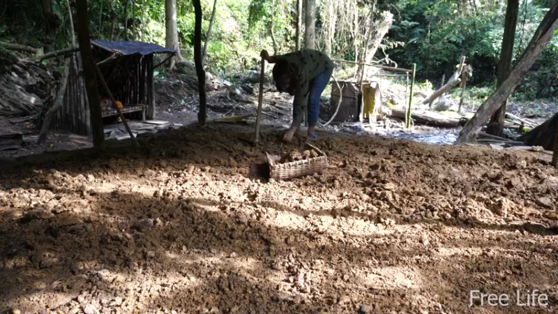 P15花园石板和墙壁3妹子独自深入荒野隐居修仙,建设世外桃源投个币吧