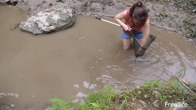 P40制作餐桌生活需要仪式感14妹子独自深入荒野隐居修仙,建设世外桃源投个币吧