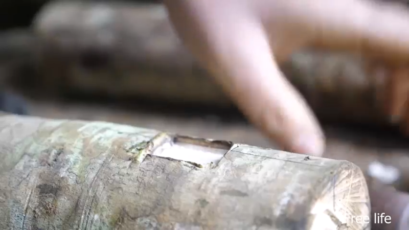 P40制作餐桌生活需要仪式感9妹子独自深入荒野隐居修仙,建设世外桃源投个币吧