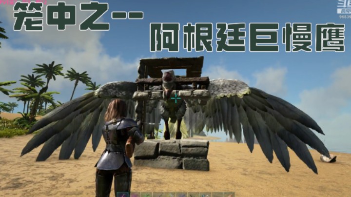 给我进去吧~阿根廷巨慢慢慢慢慢鹰！！！