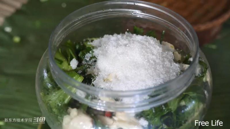 P28切菜板和酸菜28妹子独自深入荒野隐居修仙,建设世外桃源投个币吧