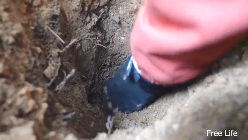 P32新建荒野厨房18妹子独自深入荒野隐居修仙,建设世外桃源投个币吧