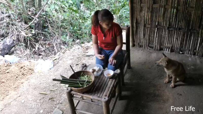 P42庭院升级18妹子独自深入荒野隐居修仙,建设世外桃源投个币吧