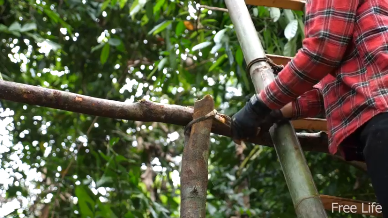 P14小姐姐世外桃源宅基地14妹子独自深入荒野隐居修仙,建设世外桃源投个币吧