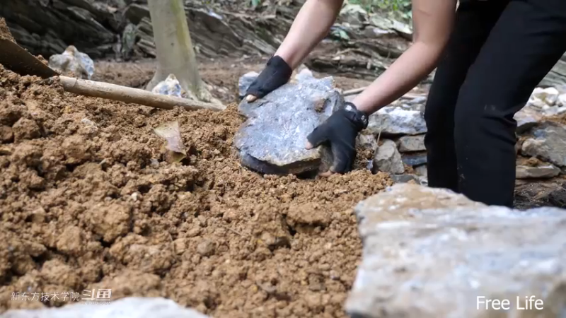 P42庭院升级13妹子独自深入荒野隐居修仙,建设世外桃源投个币吧