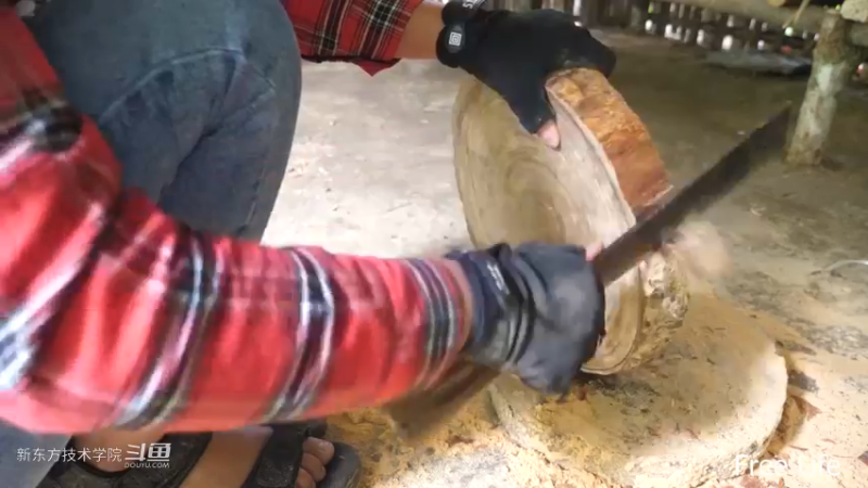 P28切菜板和酸菜19妹子独自深入荒野隐居修仙,建设世外桃源投个币吧