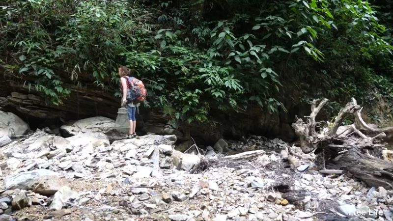 P26丛林捕鱼&烹饪6妹子独自深入荒野隐居修仙,建设世外桃源投个币吧