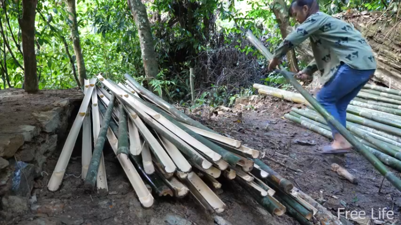 P15花园石板和墙壁12妹子独自深入荒野隐居修仙,建设世外桃源投个币吧