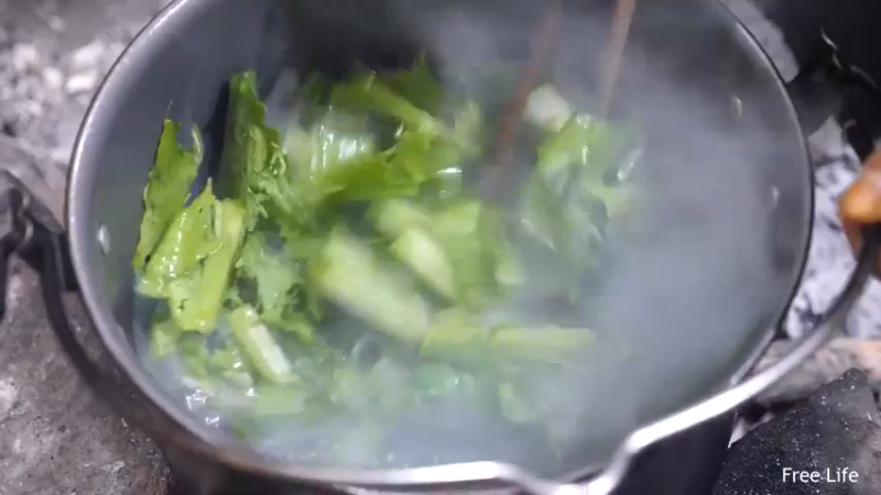 P26丛林捕鱼&烹饪16妹子独自深入荒野隐居修仙,建设世外桃源投个币吧