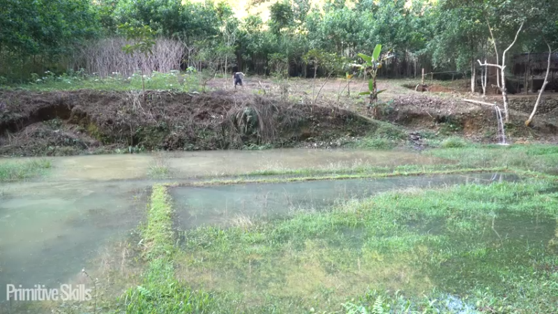 E116棉花和种植11真人我的世界-空手发展-单人炼铁麻烦帮忙三连投币哦