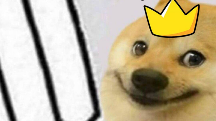 打卡时光